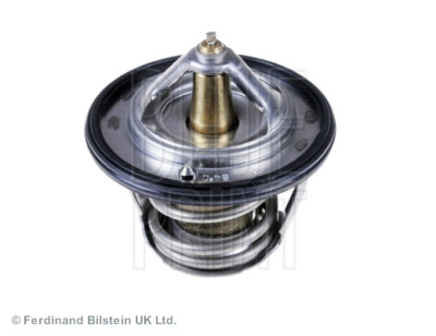 Thermostat d'eau