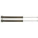 Ensemble d'amortisseurs TRW JGT469T