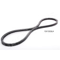 Courroie trapézoïdale JAPANPARTS DT-13X1050LA