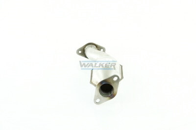 Catalyseur Walker 20776