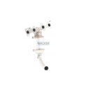 Catalyseur