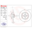 Jeu de disques de frein BREMBO 08.B650.17