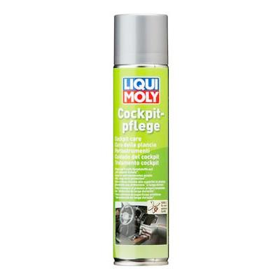 Produit d'entretien pour plastiques