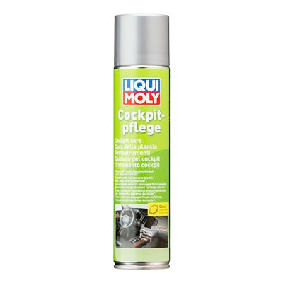 Produit d'entretien pour plastiques