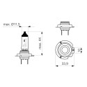 Ampoule