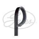 Courroie trapézoïdale poly-V GATES 3PK881SF