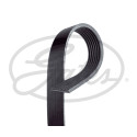 Courroie trapézoïdale poly-V GATES 7PK1257SF