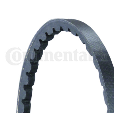 Courroie trapézoïdale