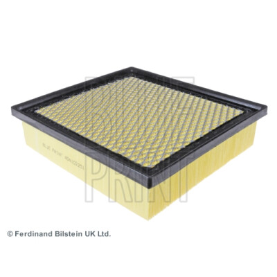 Filtre à air Blueprint ADA102251BLU