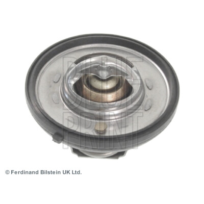 Thermostat d'eau