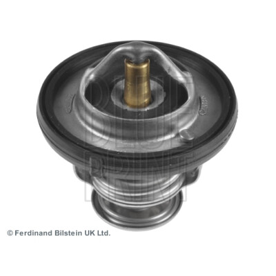 Thermostat d'eau