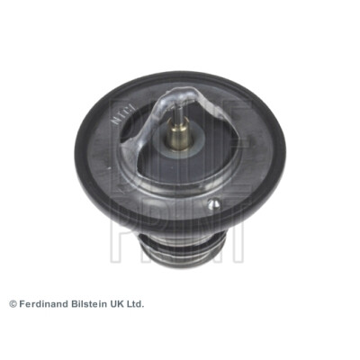 Thermostat d'eau