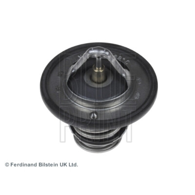 Thermostat d'eau