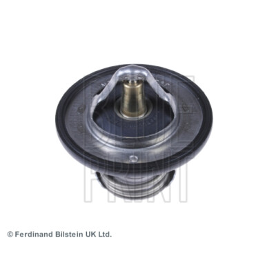 Thermostat d'eau