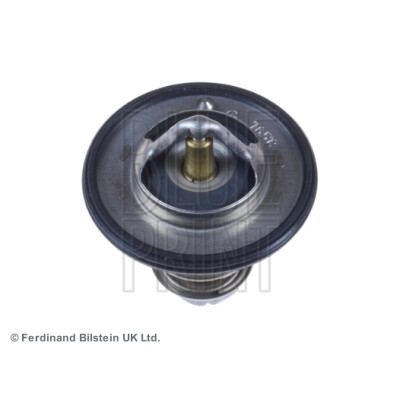 Thermostat d'eau