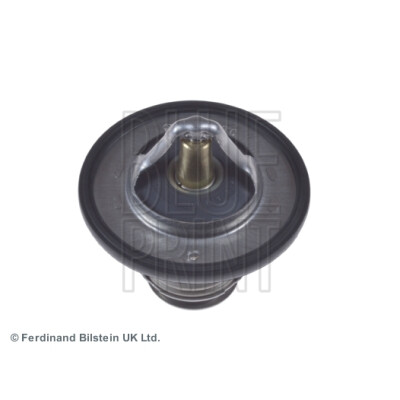 Thermostat d'eau