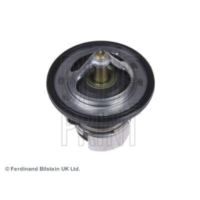 Thermostat d'eau