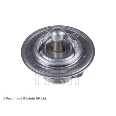 Thermostat d'eau