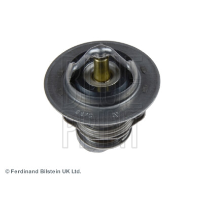 Thermostat d'eau