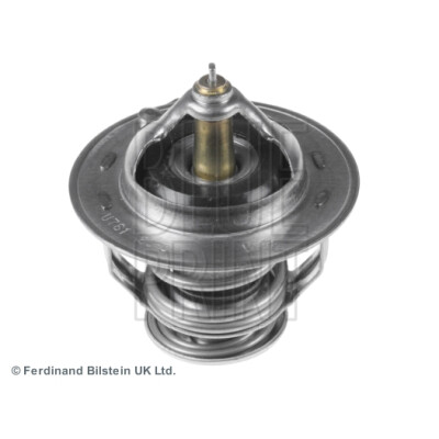 Thermostat d'eau