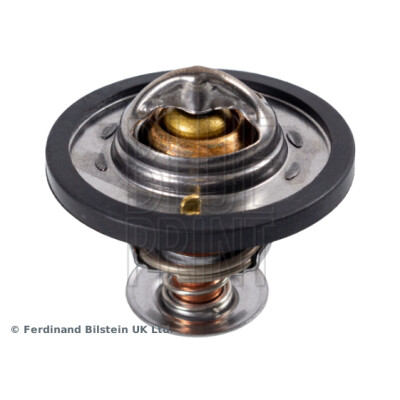 Thermostat d'eau