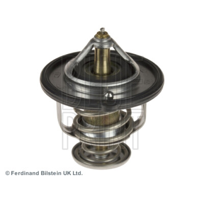 Thermostat d'eau