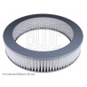 Filtre à air BLUEPRINT ADN12203