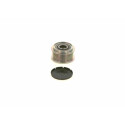 Rueda libre alternador