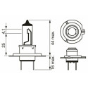 Ampoule, projecteur longue portée