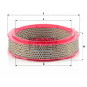 Filtre à air MANN-FILTER C 2436/1