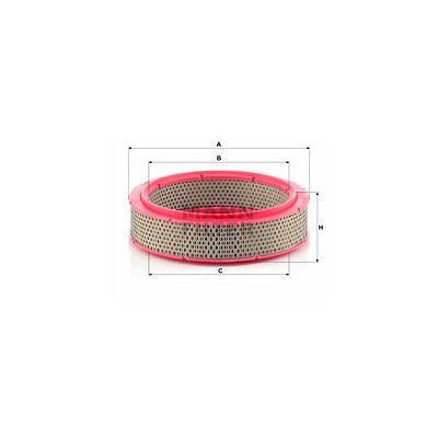 Filtre à air MANN-FILTER C 2436/1