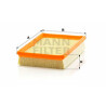 Filtre à air MANN-FILTER C 2448
