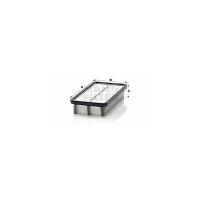 Filtre à air MANN-FILTER C 2519