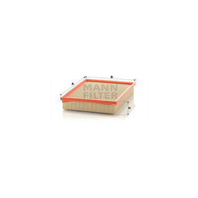 Filtre à air MANN-FILTER C 29 122/1