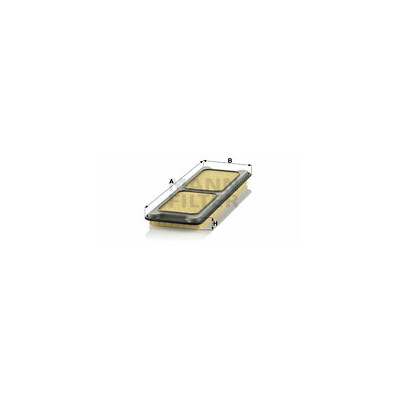 Filtre à air MANN-FILTER C 4373/1