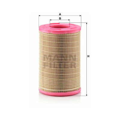 Filtre à air MANN-FILTER C 25 730/1