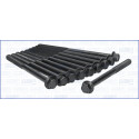 Jeu de boulons de culasse AJUSA 81021100
