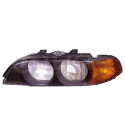 Disperseur, projecteur principal