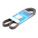 Courroie trapézoïdale à nervures DAYCO 6 PK 1100