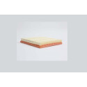 Filtre à air STEP FILTERS AE47065