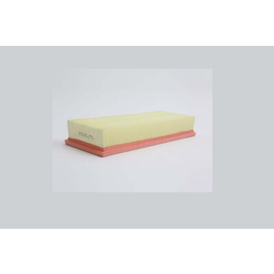 Filtre à air STEP FILTERS AE655