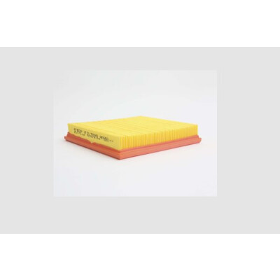Filtre à air STEP FILTERS AE660