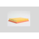 Filtre à air STEP FILTERS AE6609