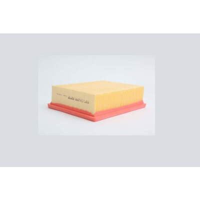 Filtre à air STEP FILTERS AE6934