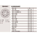Disque de frein Brembo DP 300X5 78B40841BRE