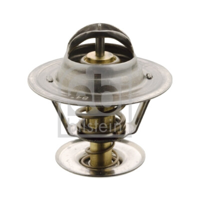 Thermostat d'eau