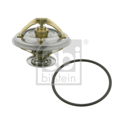 Thermostat d'eau