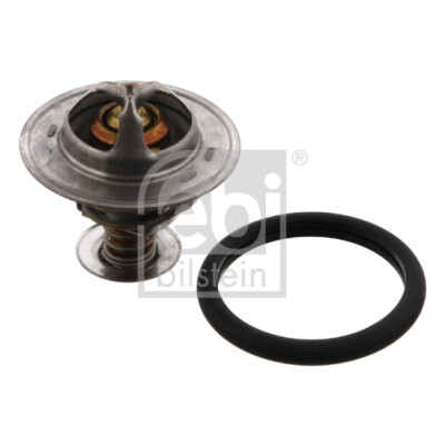 Thermostat d'eau