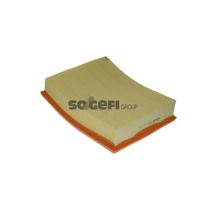 Filtre à air PURFLUX A1050