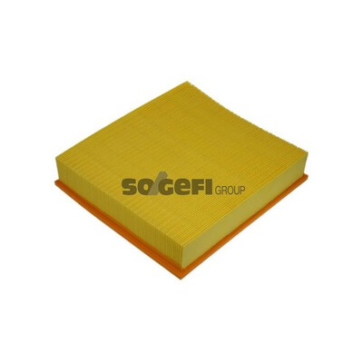 Filtre à air PURFLUX A1087